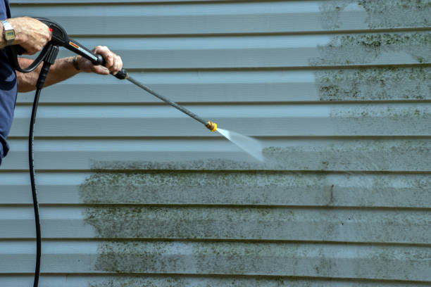 Animal Enclosure Cleaning in Horizon City, TX